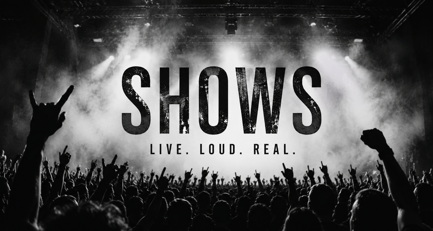 Live Concert Crowd